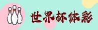 使用指南与常见问题